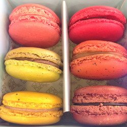 Dhara Dhevi Macaron