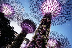 Singapore 2015 Day 1