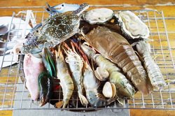 Ocean Seafood Buffet