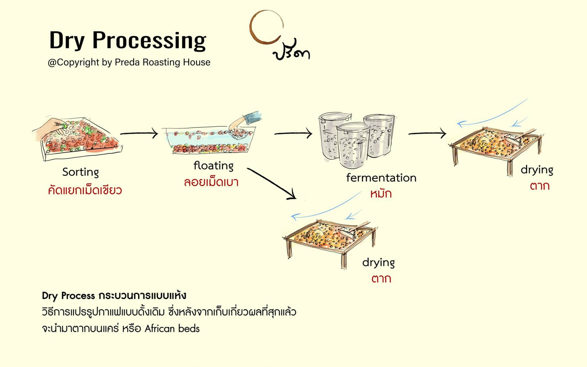 Dry Process หรือ Natural Process กระบวนการแปรรูปแบบแห้ง