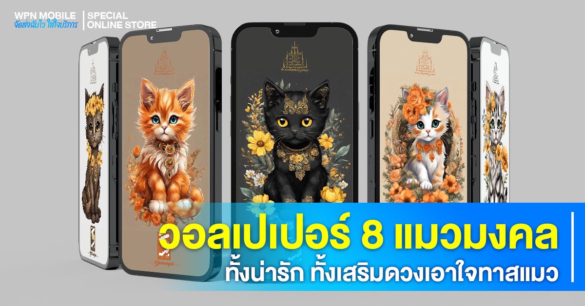 เหล่าทาสต้องถูกใจวอลเปเปอร์แมวเสริมดวง