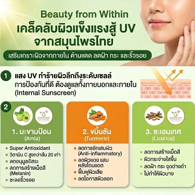 แสงแดดที่แผดเผากับผิวเราที่ต้องการการป้องกัน