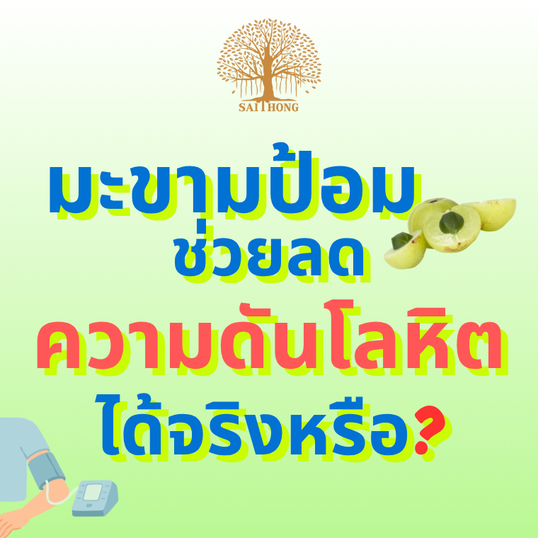มะขามป้อมช่วยลดความดันโลหิตสูงได้...จริงหรือ?