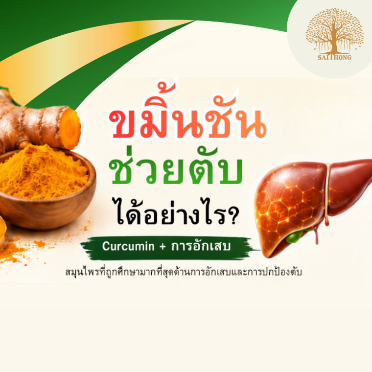 ขมิ้นชัน ช่วยดูแลตับได้จริงหรือ?
