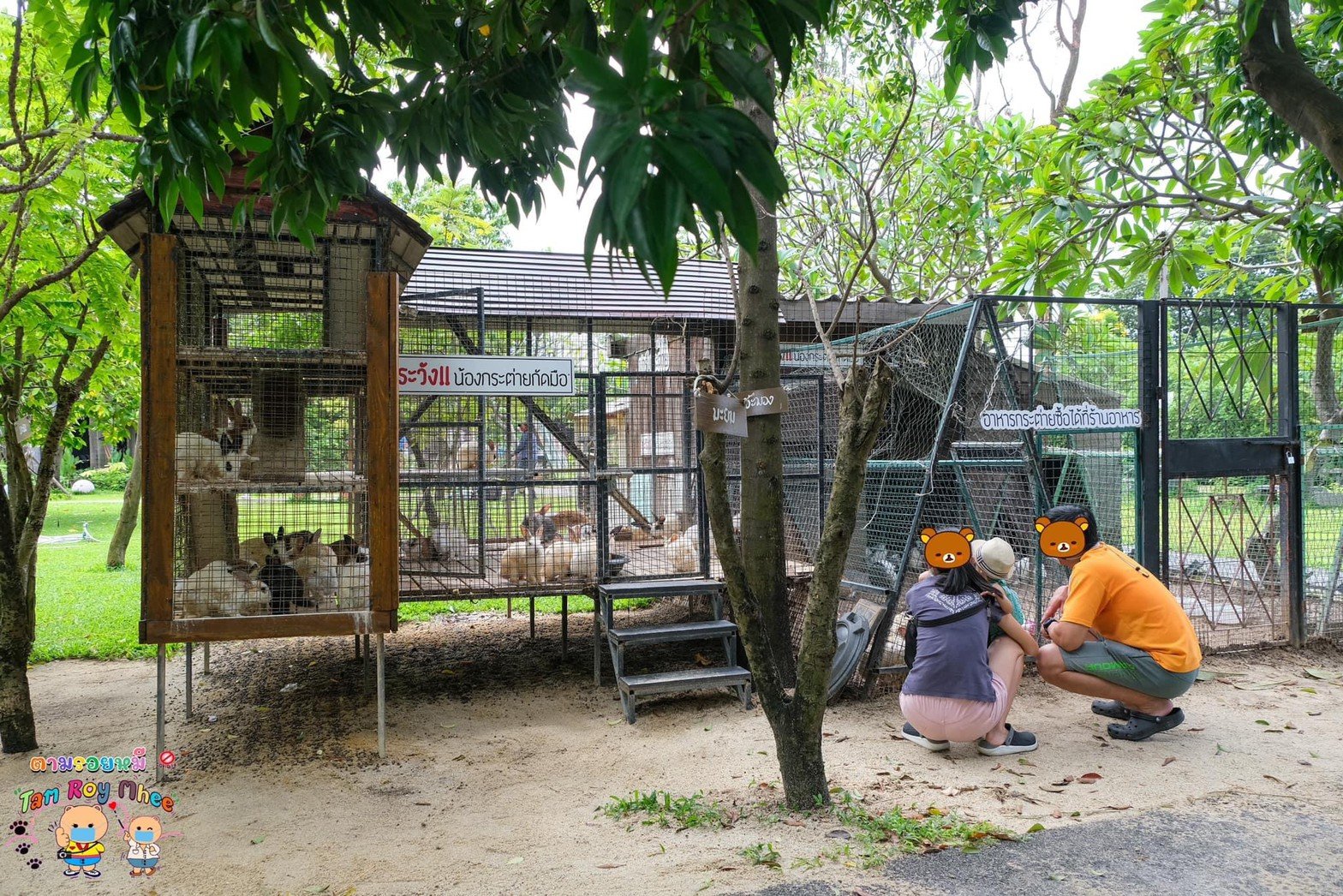 ฟาร์มคาเฟ่ ที่มีกิจกรรมเด็กที่เยอะที่สุดในชลบุรี