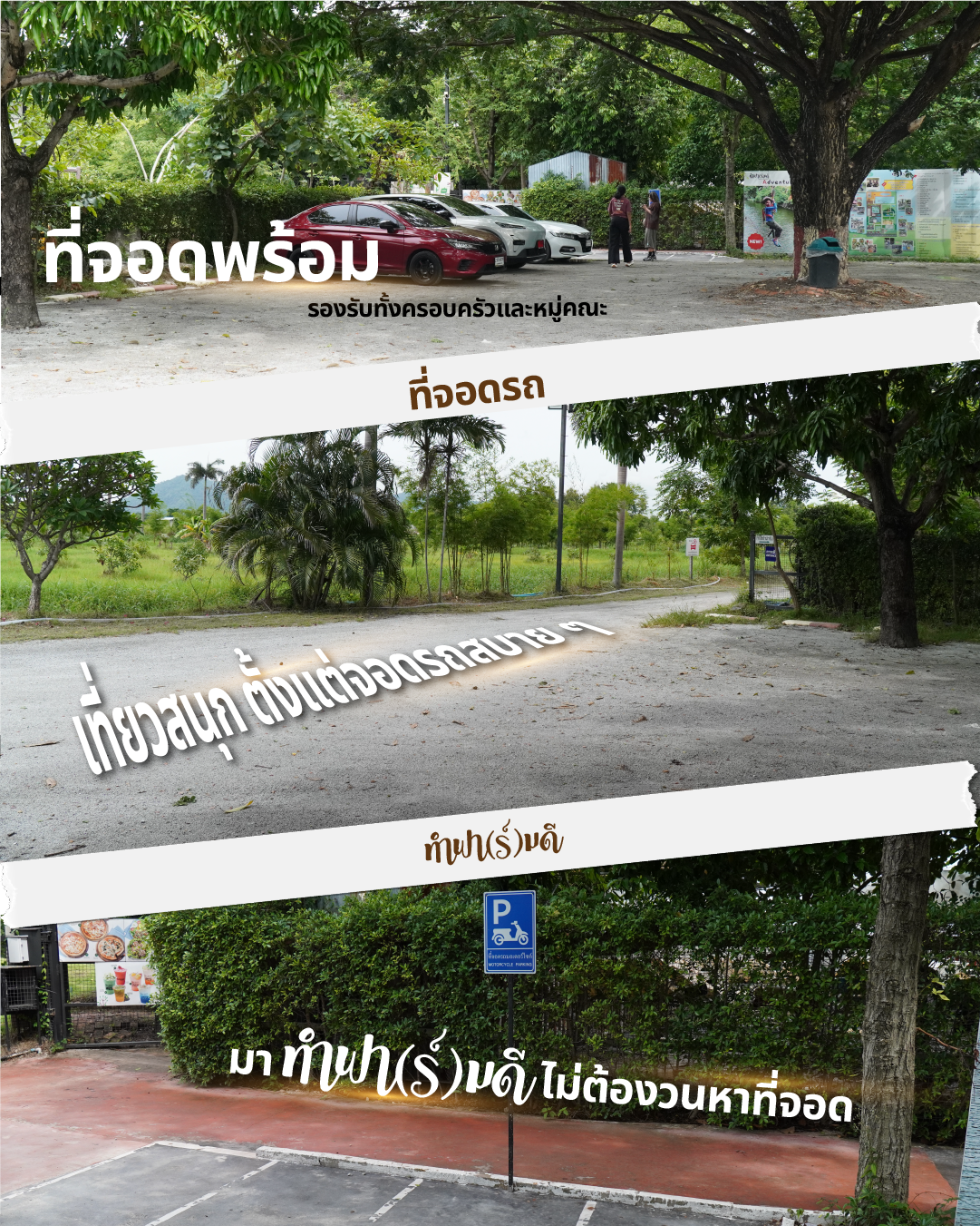 มาทำฟาร์มดี ไม่ต้องกังวลเรื่องที่จอดรถเลย!