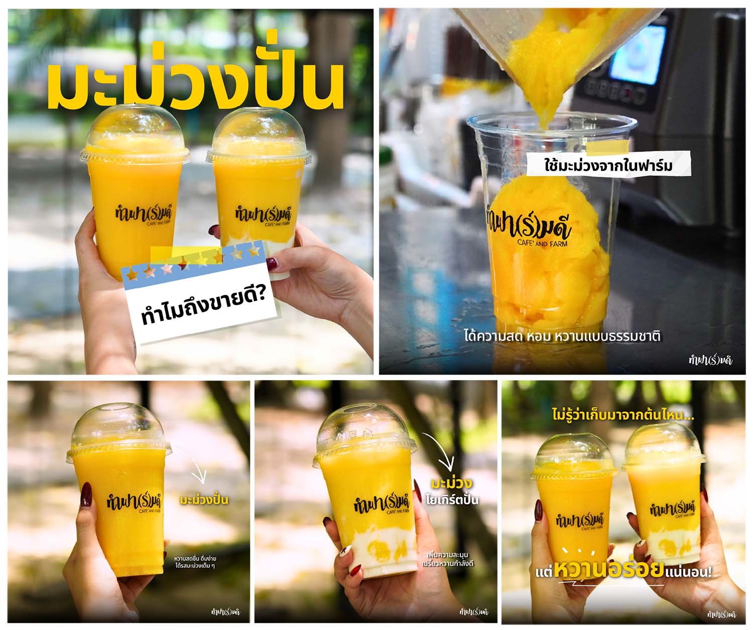 มะม่วงปั่นที่ทำฟาร์มดี  ใช้มะม่วงที่ปลูกเองในฟาร์ม