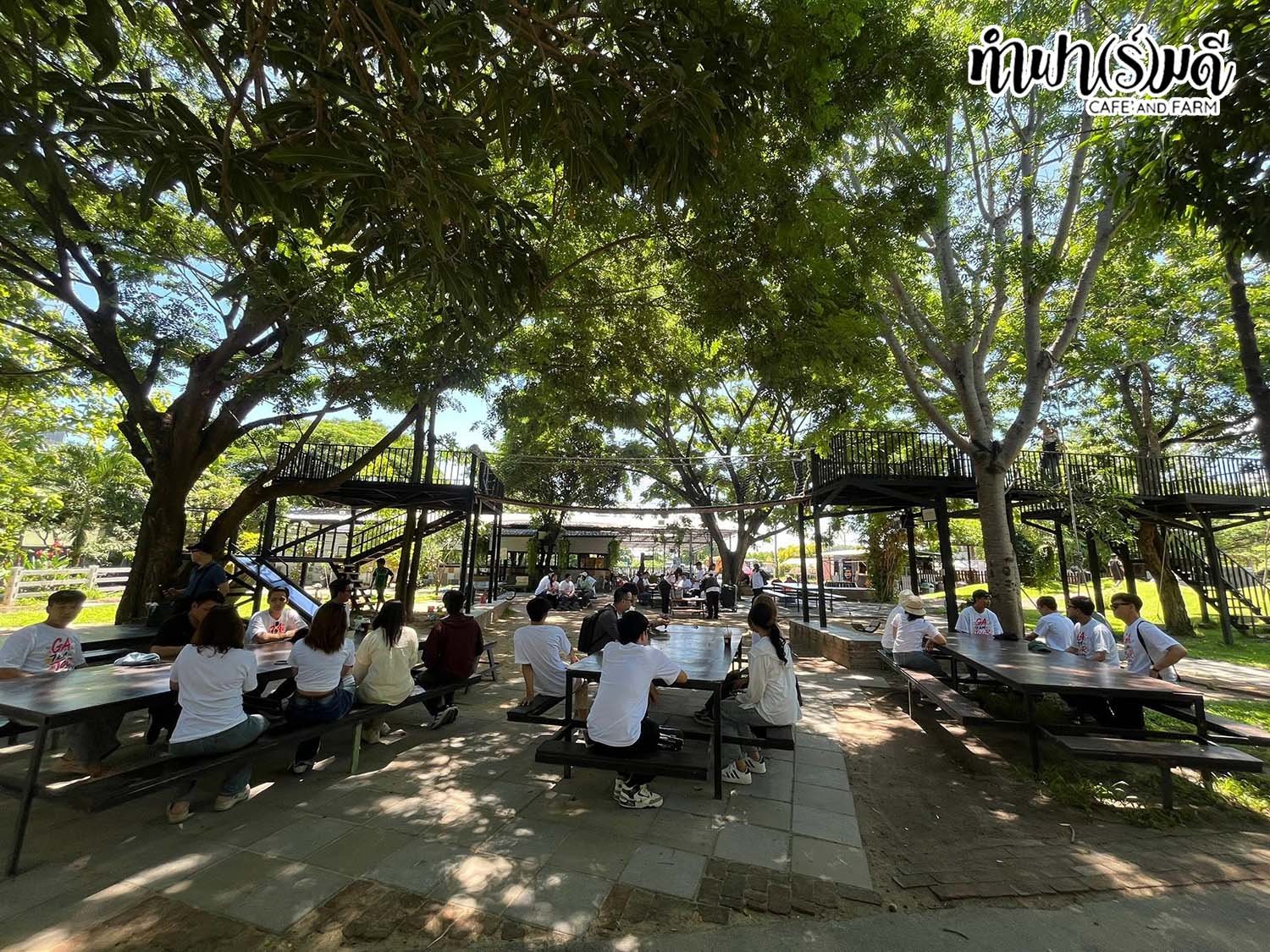 บริษัท บีวายดี ออโต้ (ประเทศไทย) จำกัด 14 มิถุนายน 2569