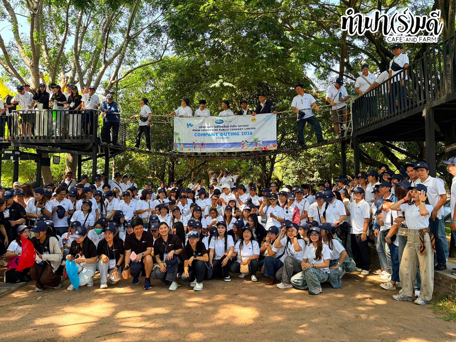 บริษัท เมก้า ไลฟ์ไซแอ็นซ์ จำกัด 04 กันยายน 2569