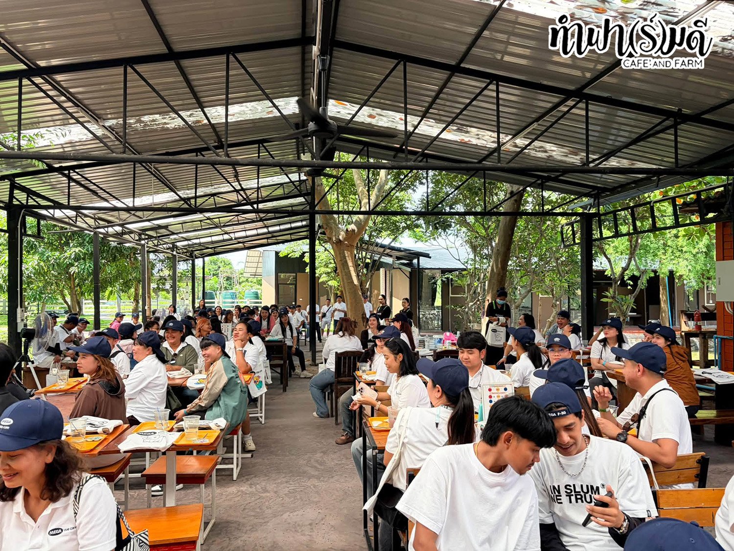 บริษัท เมก้า ไลฟ์ไซแอ็นซ์ จำกัด (มหาชน) 11 กันยายน 2569