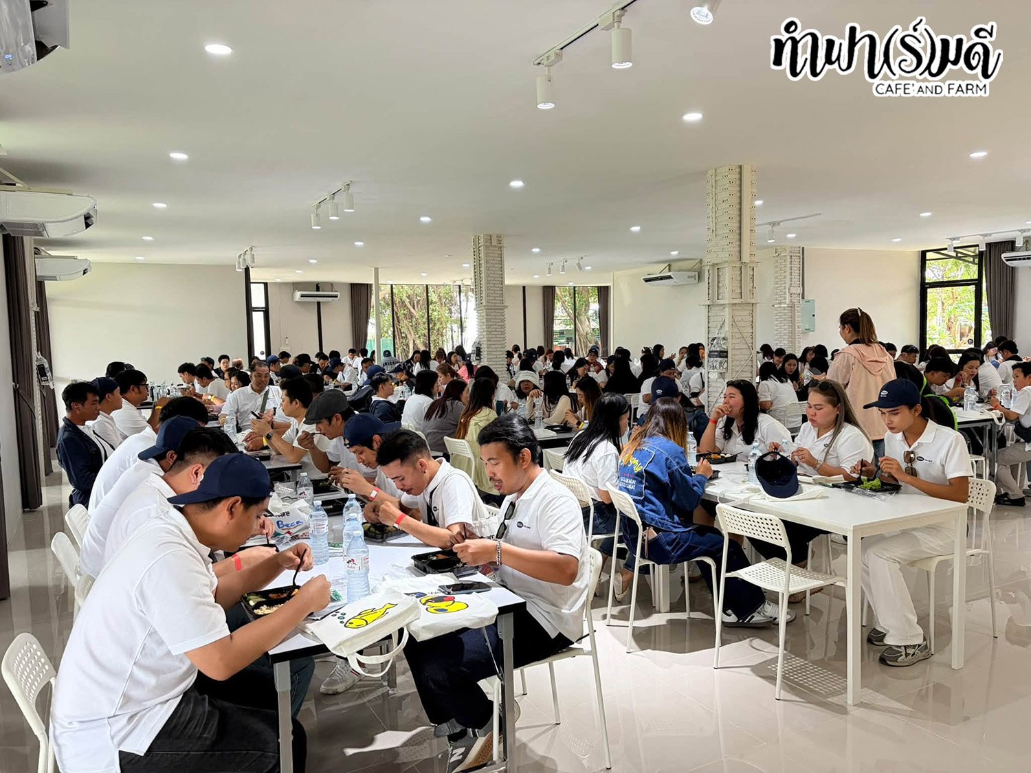 บริษัท เมก้า ไลฟ์ไซแอ็นซ์ จำกัด (มหาชน) 11 กันยายน 2569