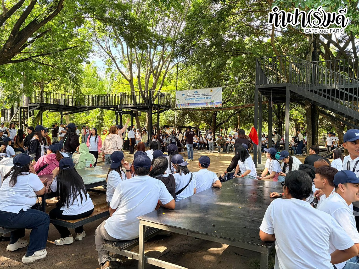 บริษัท เมก้า ไลฟ์ไซแอ็นซ์ จำกัด (มหาชน) 11 กันยายน 2569