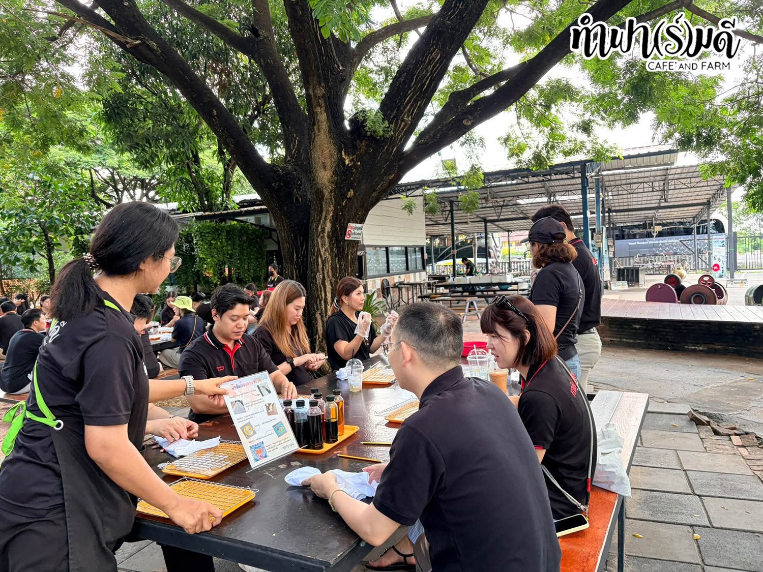 บริษัท ไมนด์เรย์ เมดิคอล (ประเทศไทย) จำกัด 18 กันยายน 2569