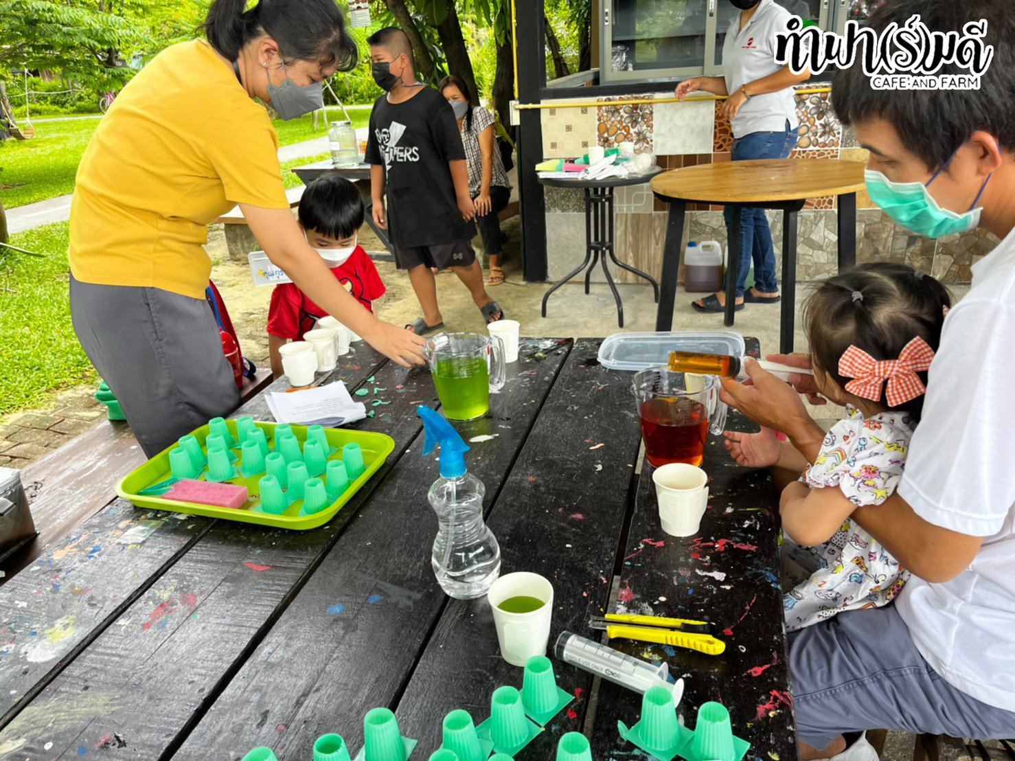 Play and Learn การปลูกผักไฮโดรโปนิกส์ระบบน้ำนิ่ง Play and Learn การปลูกผักไฮโดรโปนิกส์ระบบน้ำนิ่ง