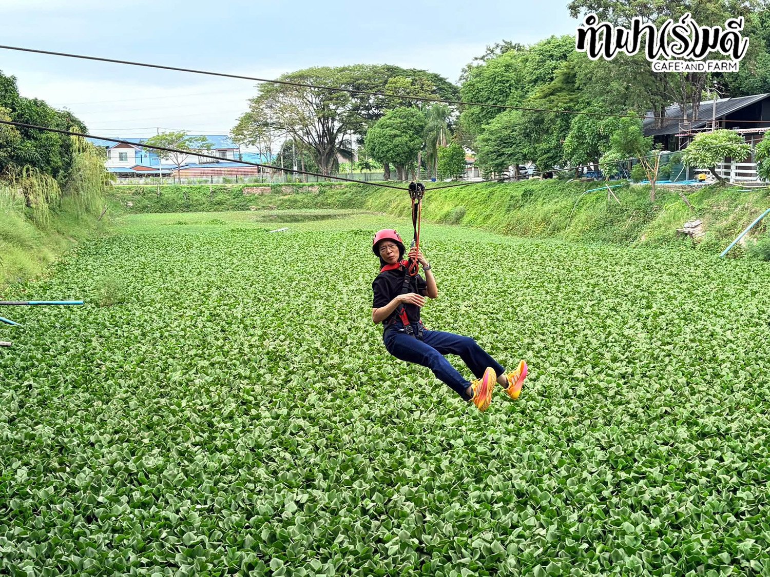 บริษัท โกลบอล เพาเวอร์ ซินเนอร์ยี่ จำกัด (มหาชน) 14 กันนยายน 2569