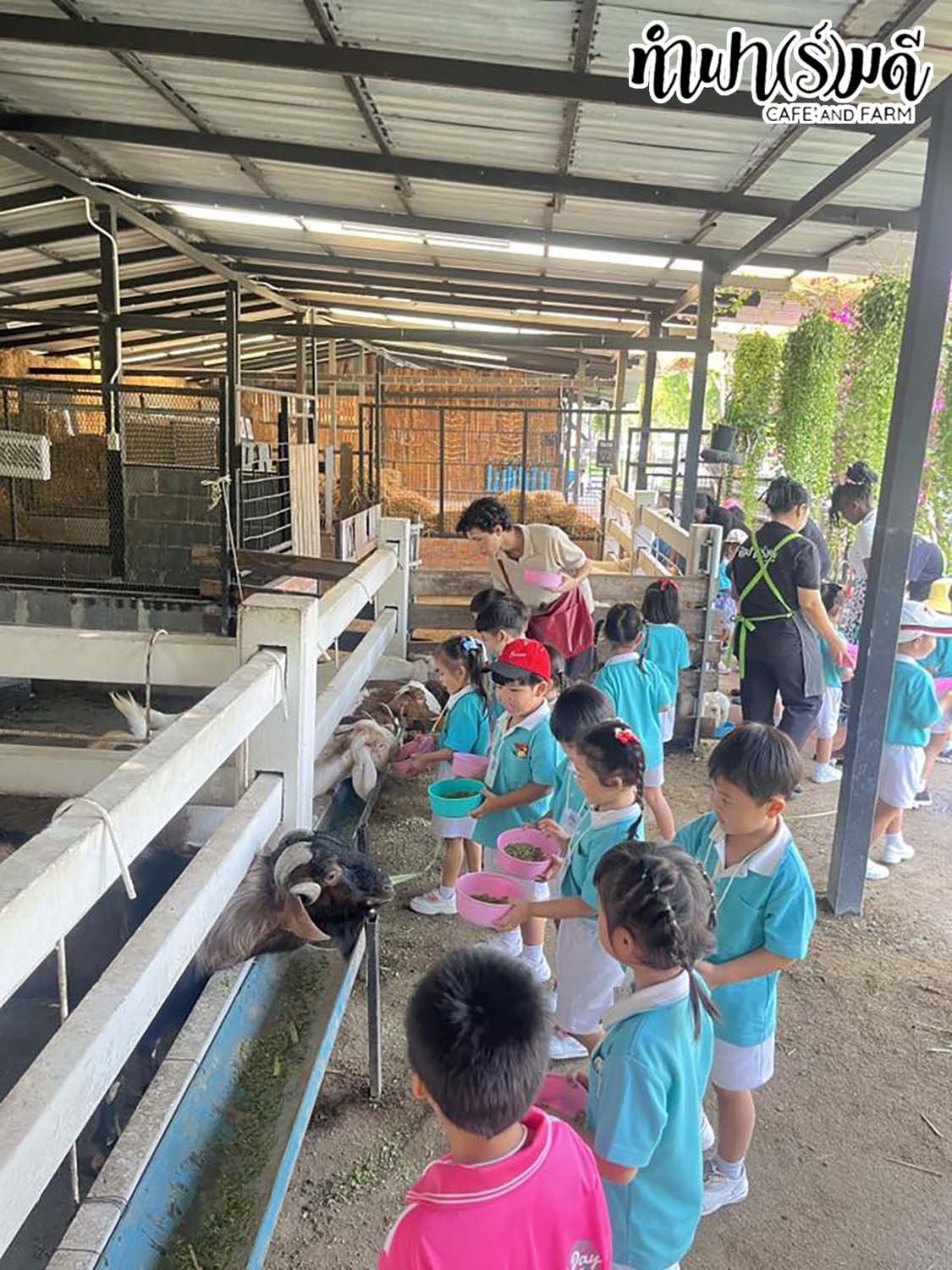 โรงเรียนศุทธรัตน์ (อ.1-3) 11 กุมภาพันธ์ 2569