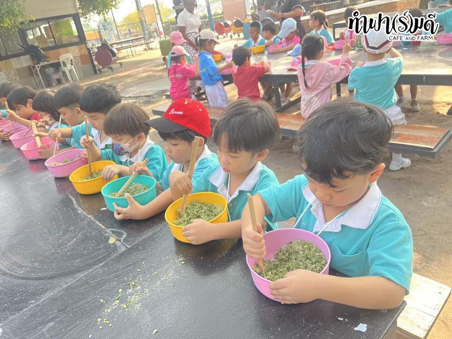 โรงเรียนศุทธรัตน์ (อ.1-3) 11 กุมภาพันธ์ 2569