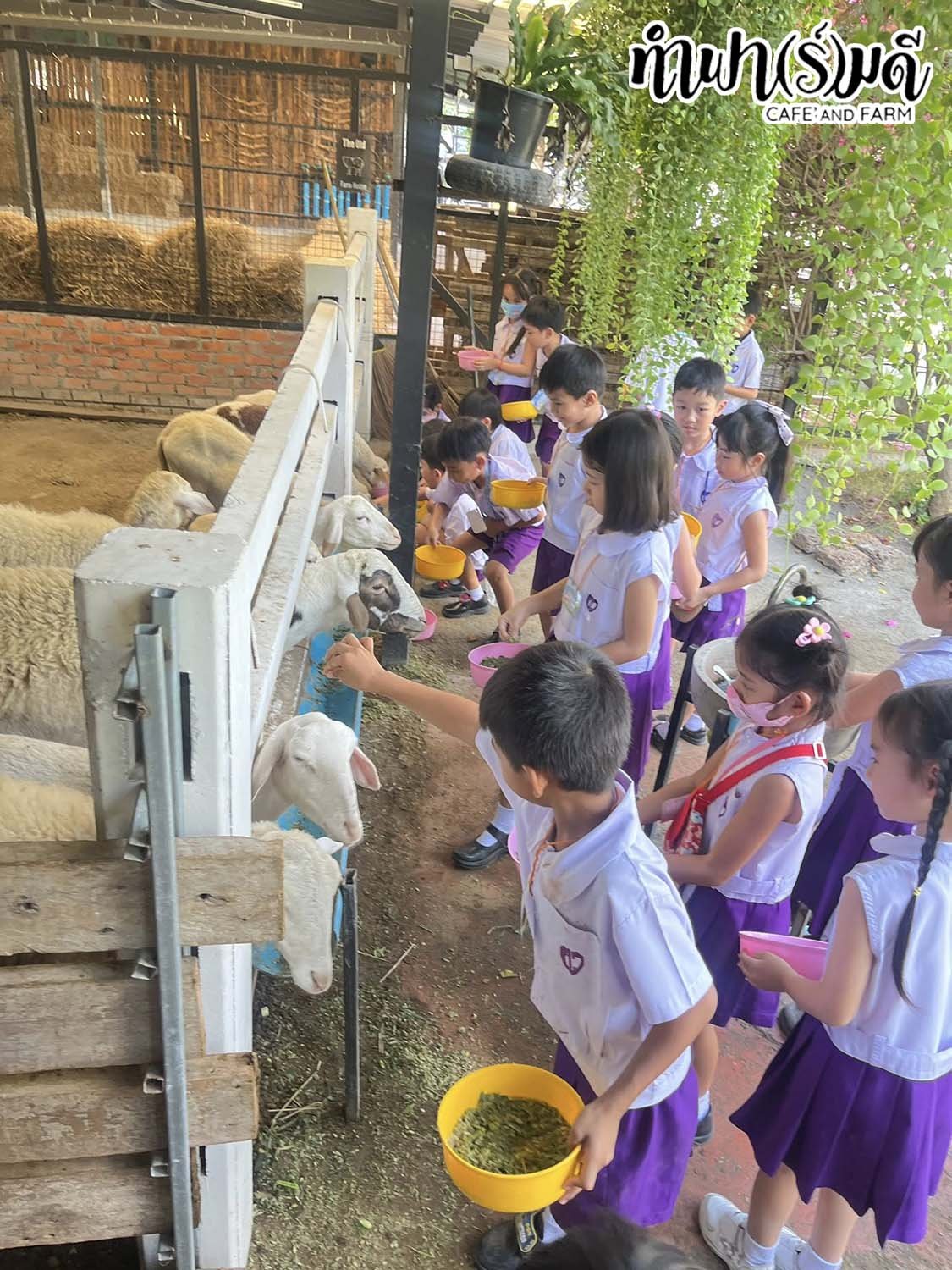 โรงเรียนศุทธรัตน์วัฒนาลัย (อนุบาล 1-3) 5 กุมภาพันธ์ 2569