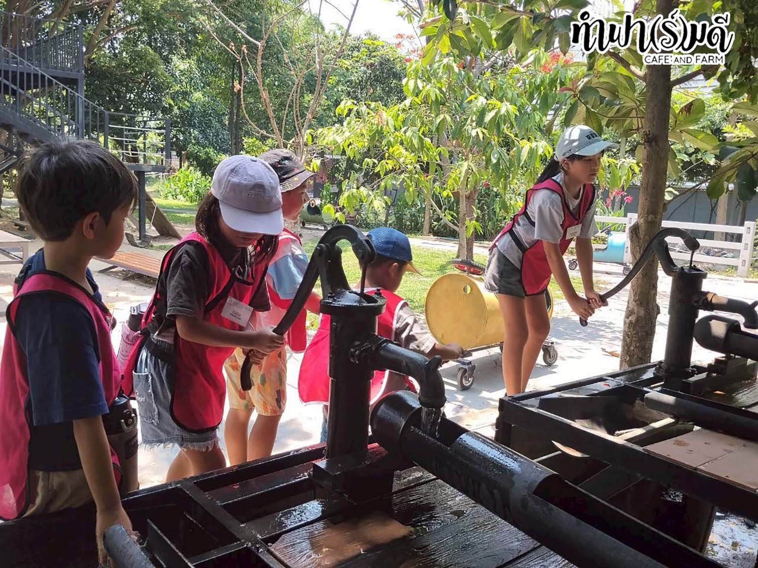 โรงเรียนสอนภาษาพลินปัญญา 3 เมษายน 2569