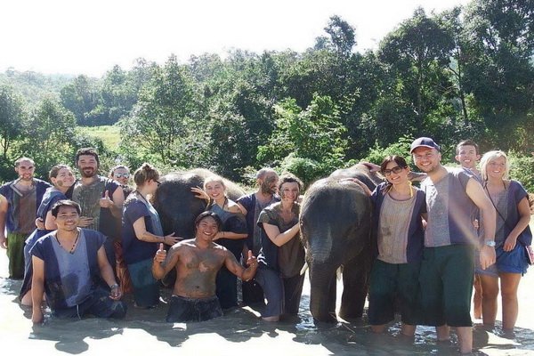 照顾大象一日游 Elephant Family Care