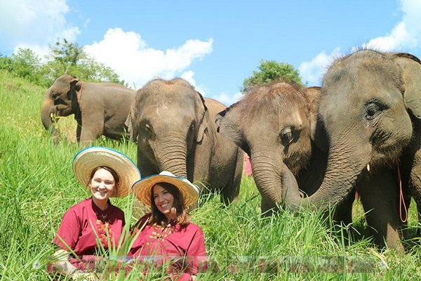 照顾大象半日游早上（没有骑大象) Elephant Rescue Park (B)