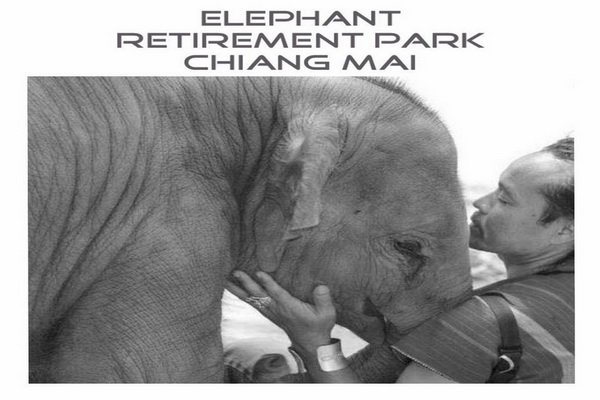 One Day Elephant Retirement Park