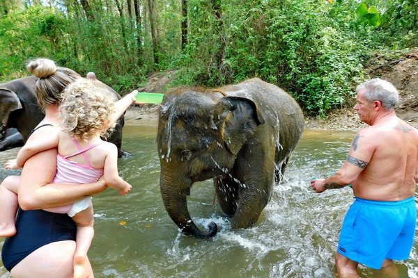 Elephant Bathing & Feeding