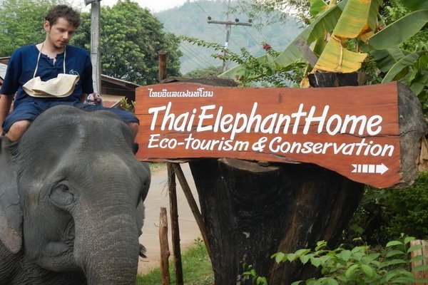 One Day Elephant Riding at Thai Elephant Home