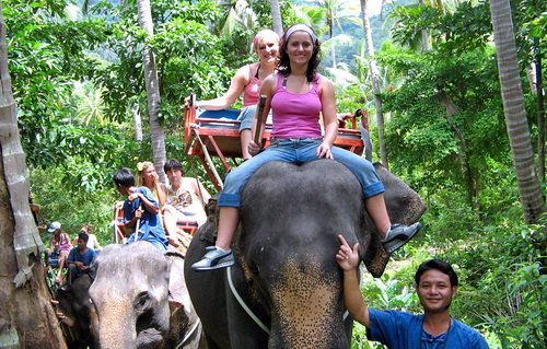 Half day Jungle Safari with Elephant Trek