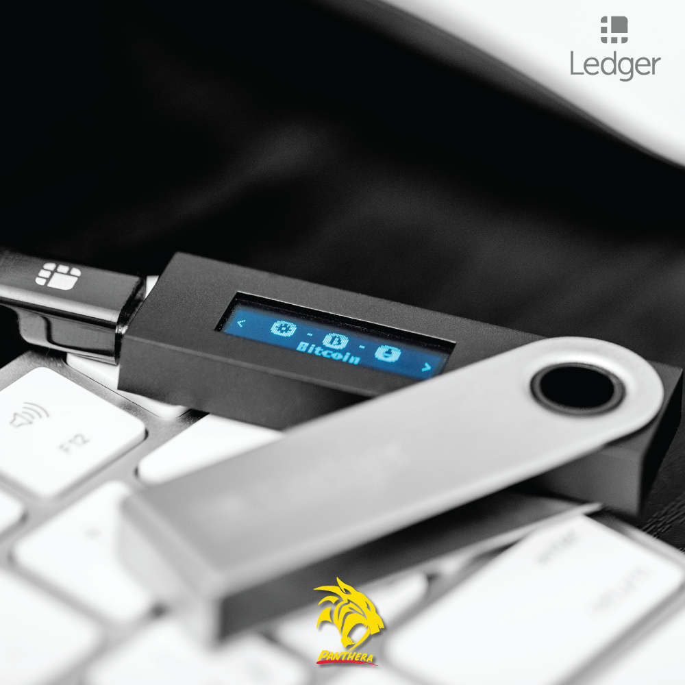 Ledger Nano X Wallet - panthera