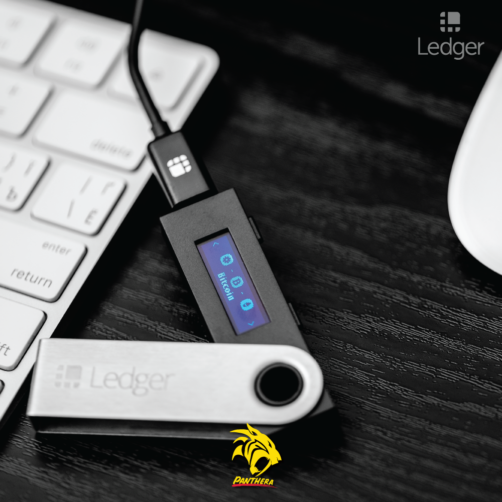 Ledger Nano X Wallet - panthera