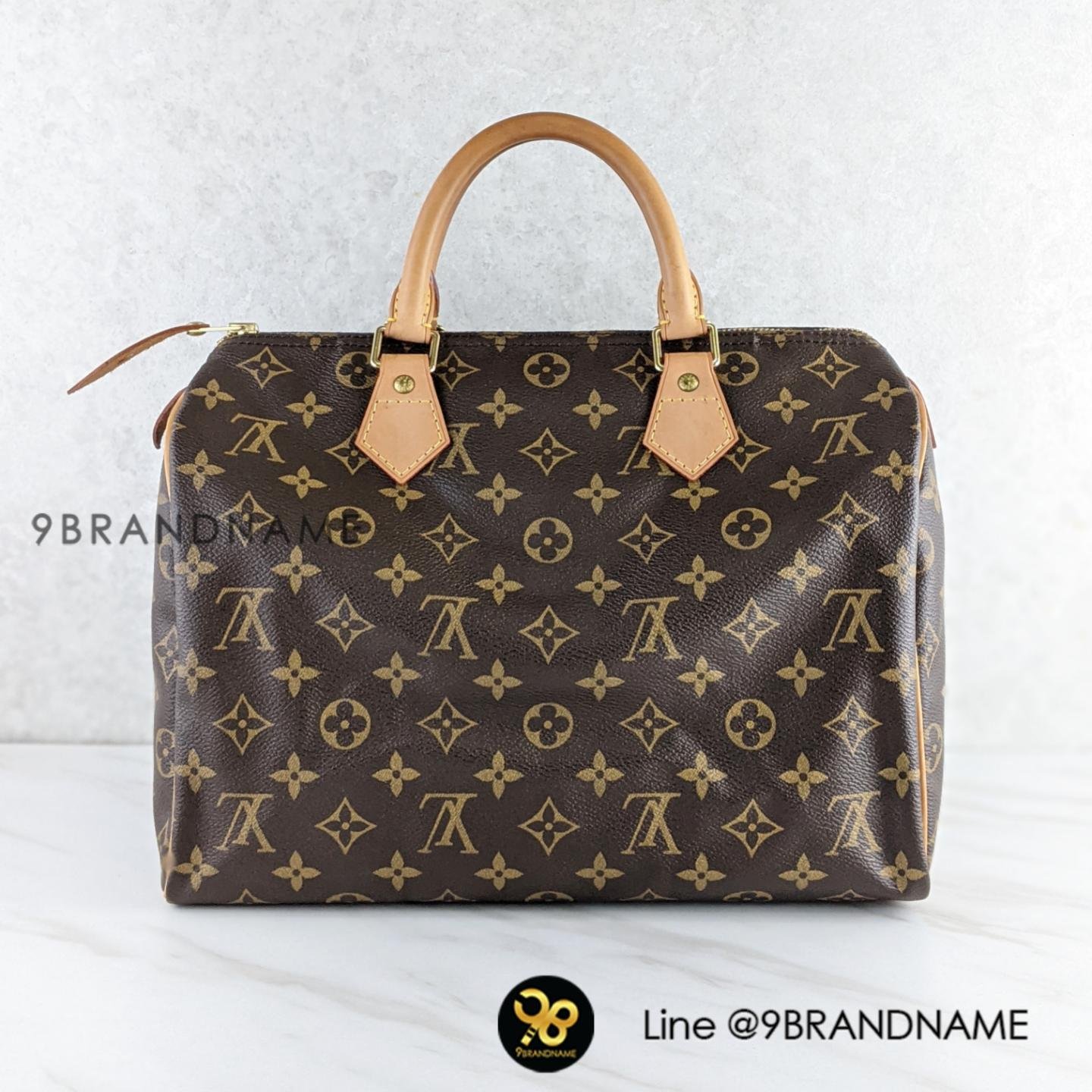 LOUIS VUITTON Monogram Speedy 30 Handbag - GHW