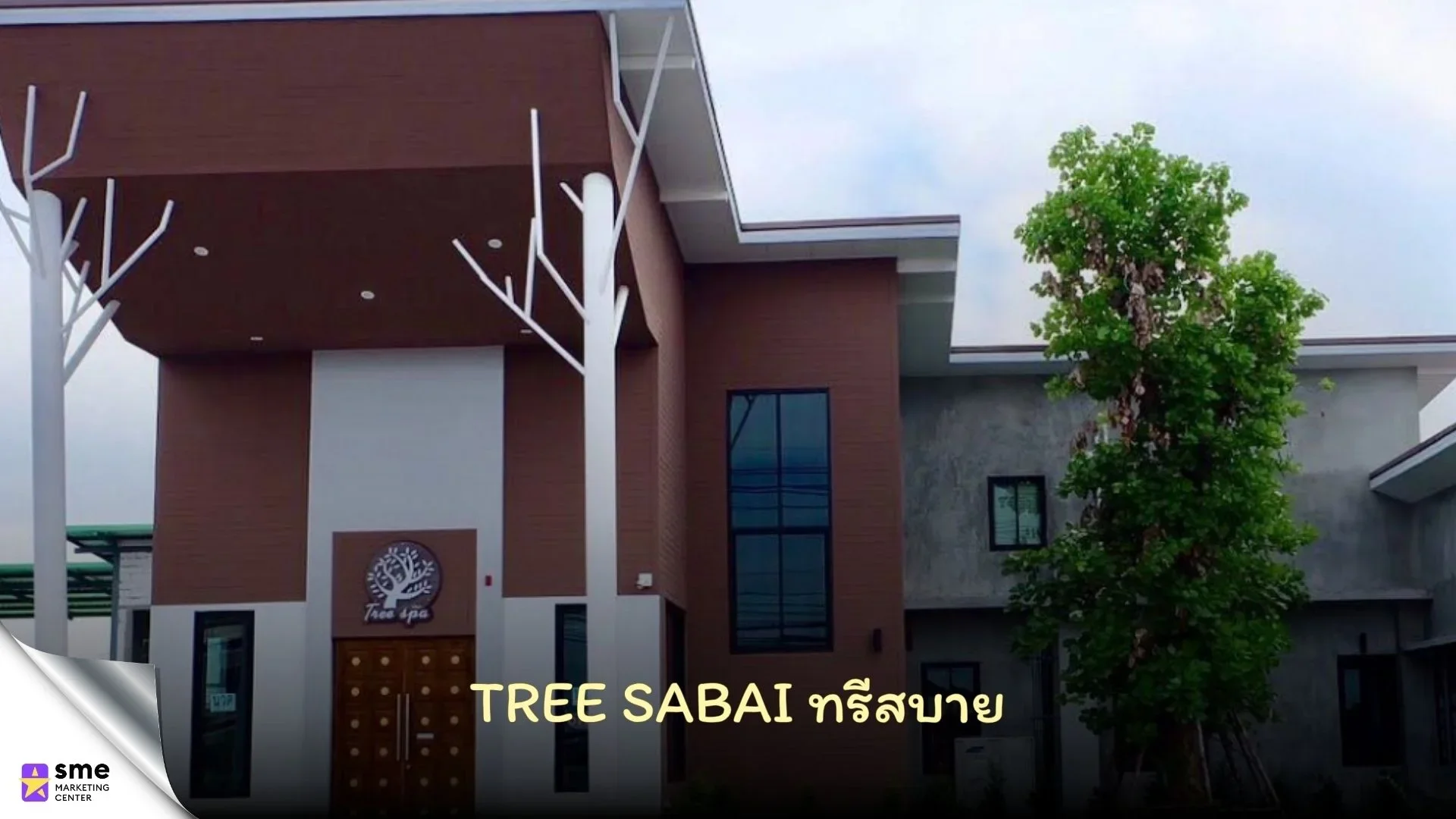 ร้านนวดแถวประเวศ ทรีสบาย Tree Sabai