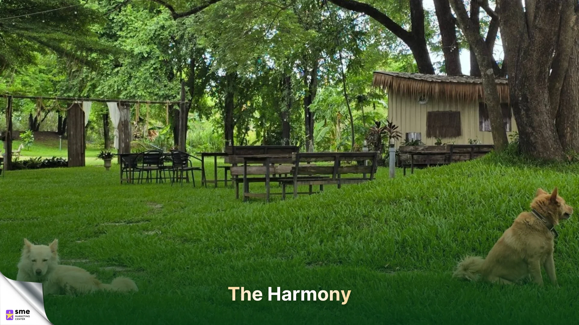 ที่พักสวนผึ้งราชบุรี The Harmony