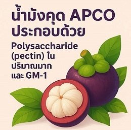 ปก น้ำมังคุด APCO by bimsabuy ปก น้ำมังคุด APCO by bimsabuy