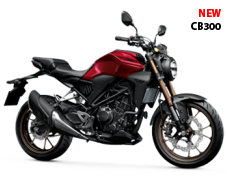 New CB300