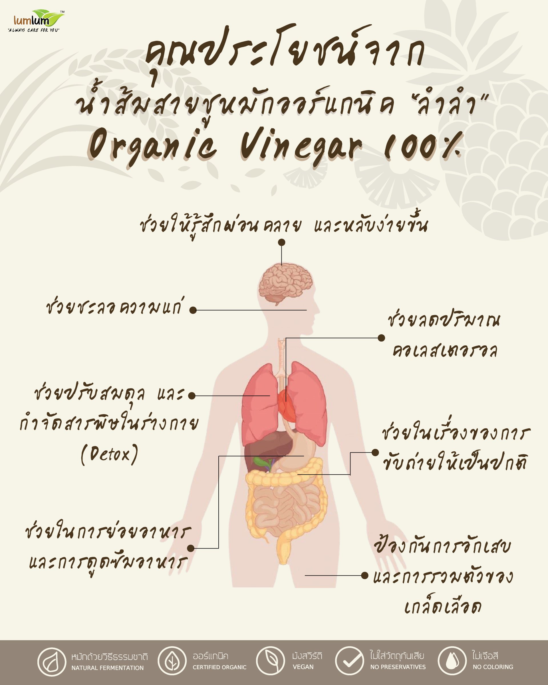 ประโยชน์น้ำส้มสายชูหมัก_ออร์แกนิค น้ำส้มสายชูหมัก benefits of fermented vinegar