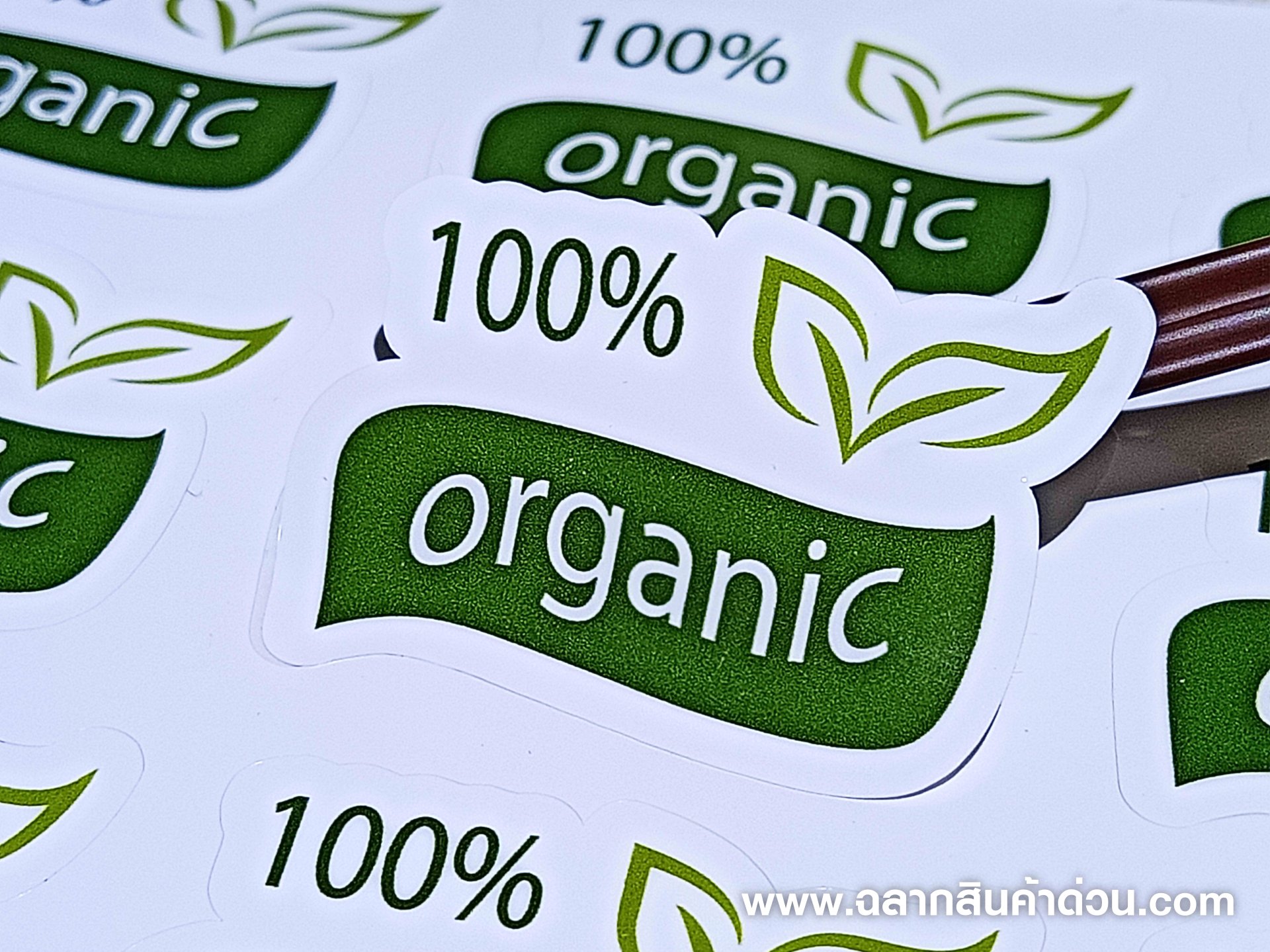 Organic 100%