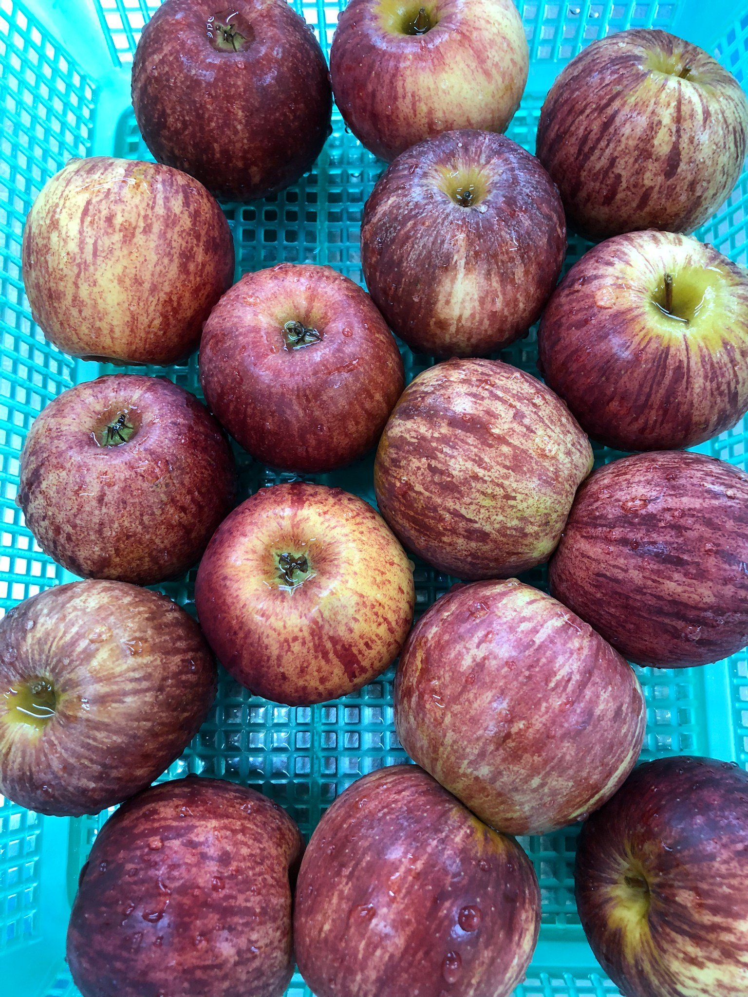 Red Apple Freshlyfoods thailand red-apple-freshlyfoods-thailand