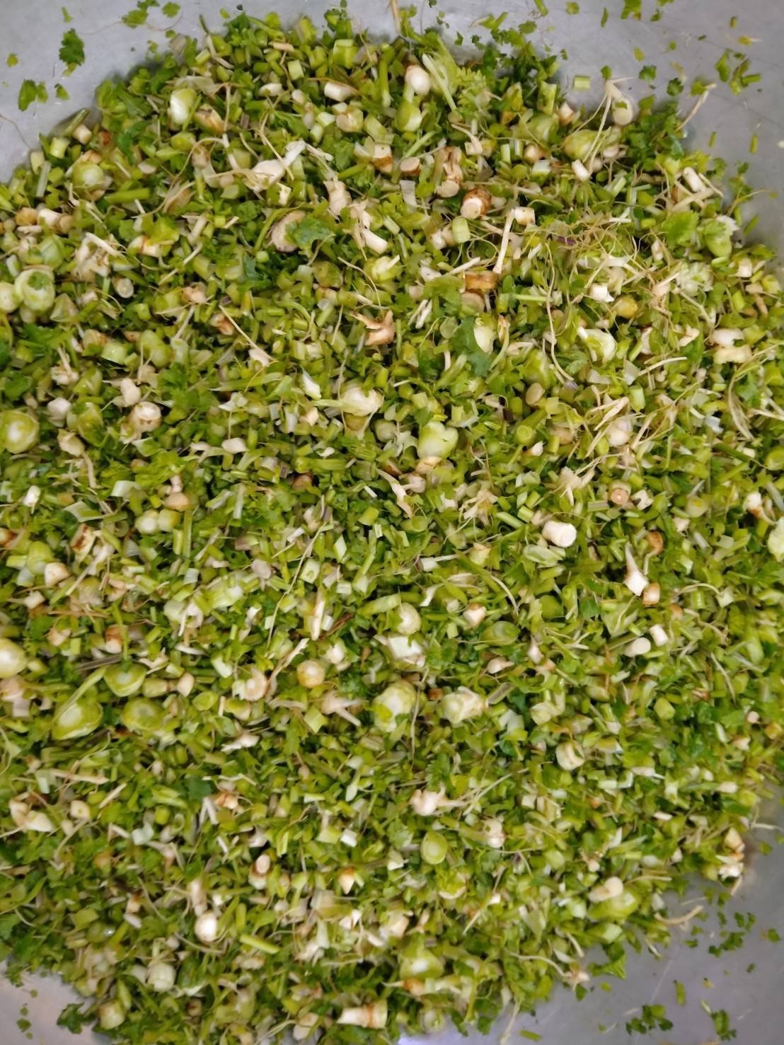Coriander Root