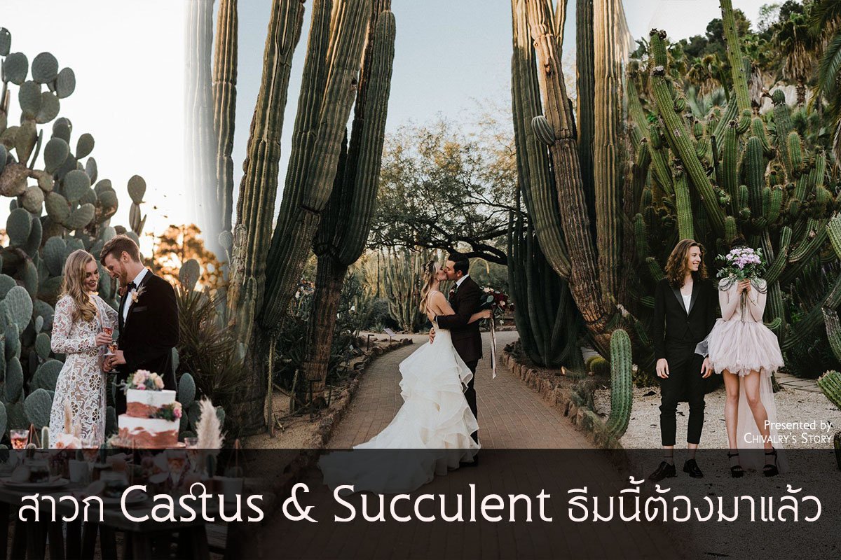 สาวก Castus & Succulent ธีมงานแต่งนี้ต้องมาแล้ว