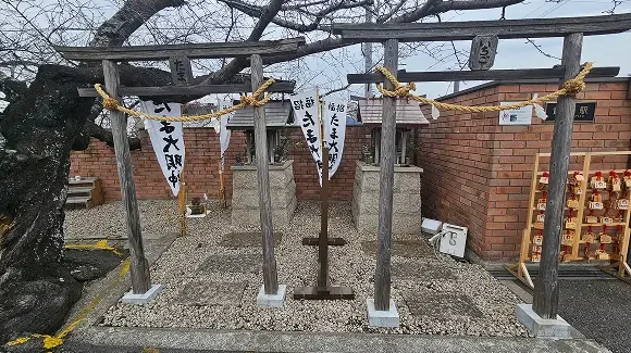 ศาลเจ้าทามะ (Tama Shrine) และศาลเจ้าสตรอว์เบอร์รี (Ichigo Shrine) บนชานชาลาสถานีรถไฟ Kishi Station