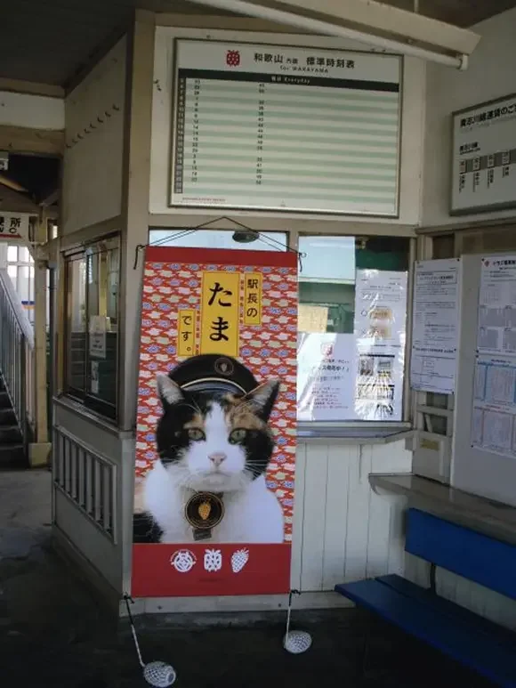 ป้ายรูปของ Tama หน้าห้องนายสถานีแมว ที่สถานี Kishi Station