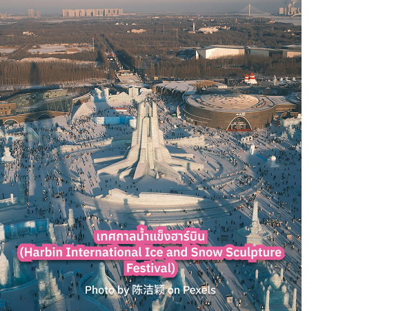 Harbin International Ice and Snow Sculpture Festival เทศกาลน้ำแข็งฮาร์บิน รีวิว