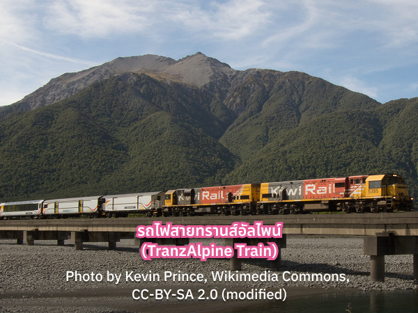 TranzAlpine_Train นั่งรถไฟ นิวซีแลนด์