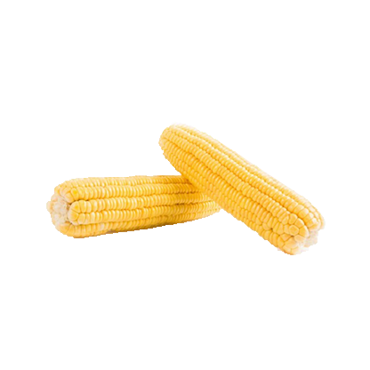 Sweet Corn