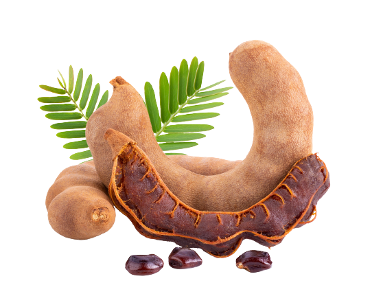 Tamarind