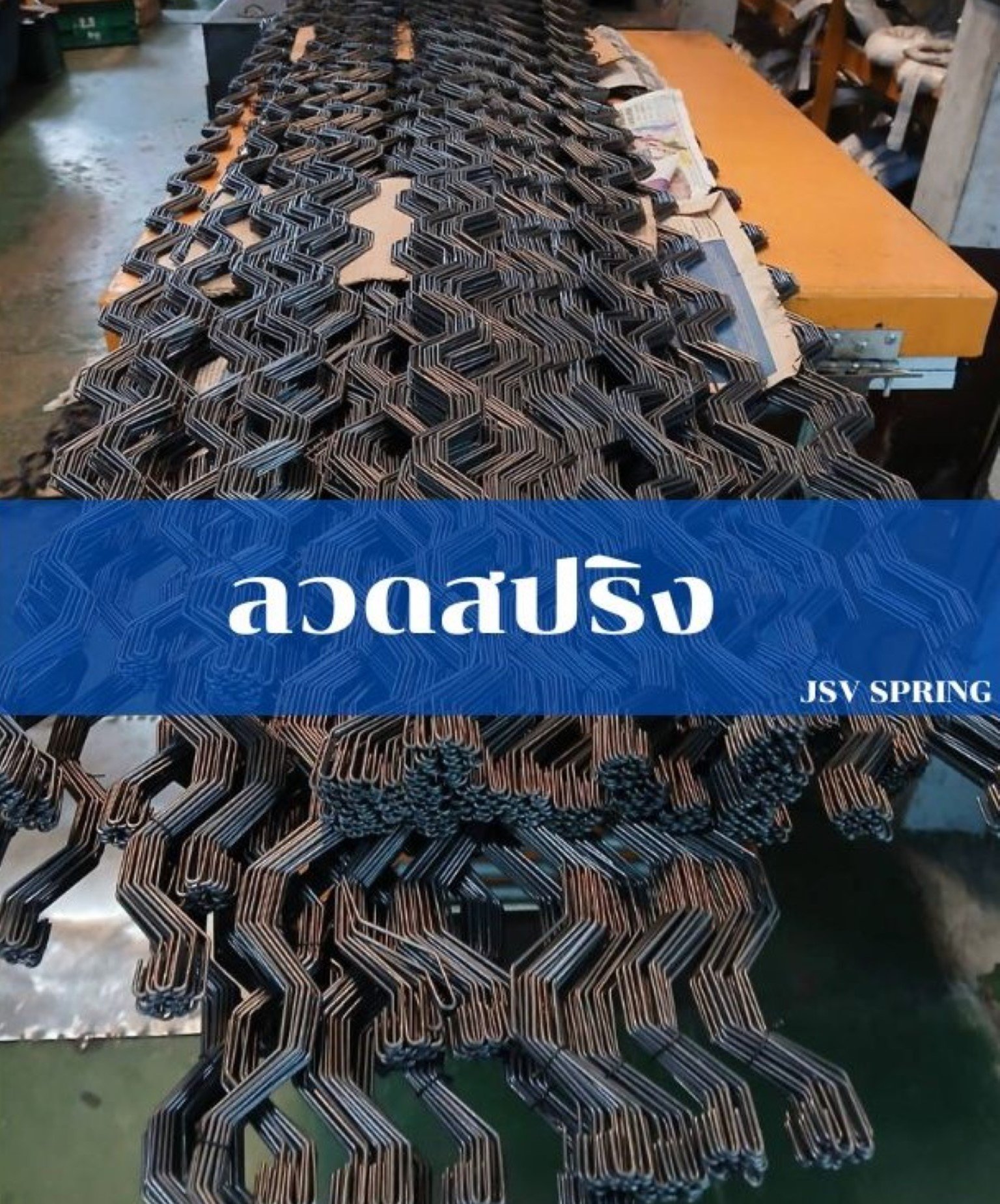 การวิวัฒนาการของสปริง