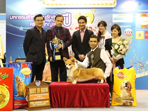 KCT.CH.HONG LONG OF SAN CHIH KENNEL