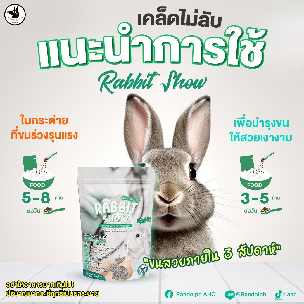 เคล็ดไม่ลับ..!! แนะนำการใช้ Rabbit Show เคล็ดไม่ลับ..!! แนะนำการใช้ Rabbit Show